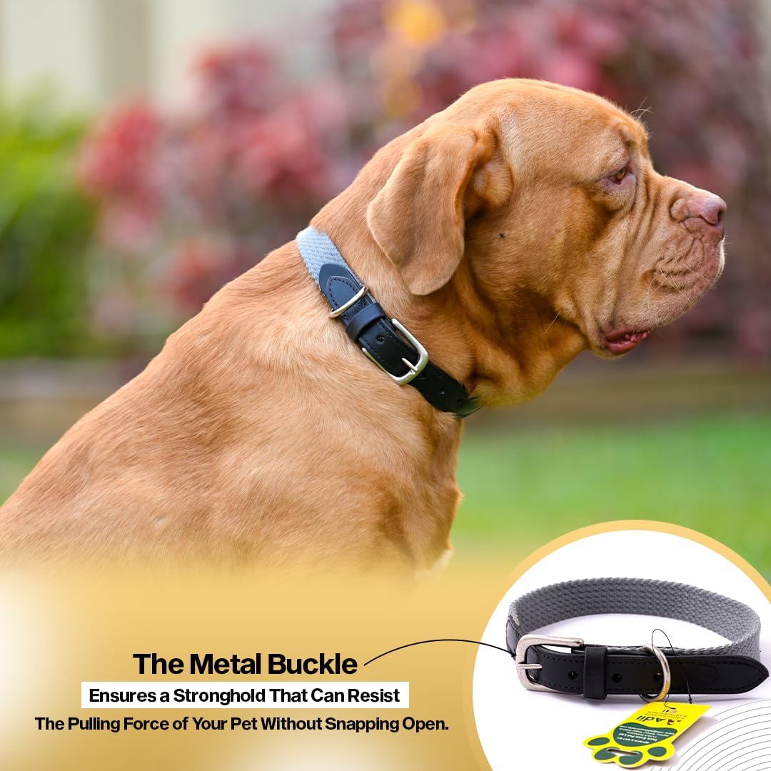 Sparrow Daughter Plain Cotton Dog Collar with Leather Reinforcement Adjustable Soft Breathable Neckbelt Heavy Duty Brass Hardware Strong D-Ring Walking Training Pets - Grey, XL 2
