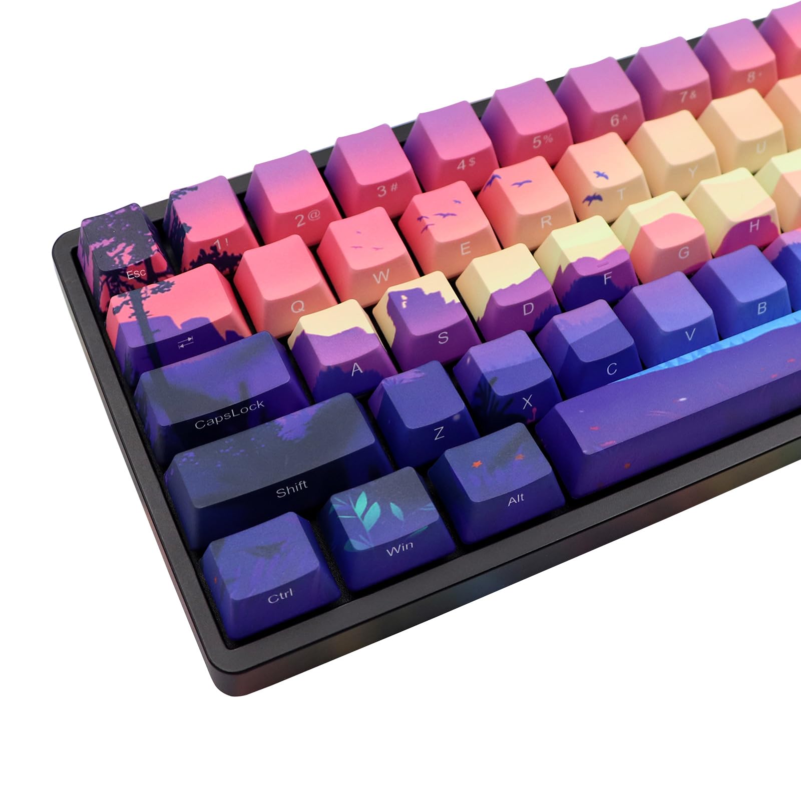 Amazon.com: JSJT Side Printed Keycap - Keycaps 65 Percent, 68 Keys