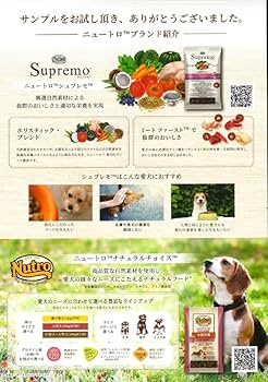 Amazon.co.jp: 【ペットプロフィール会員限定】ペットプロフィール