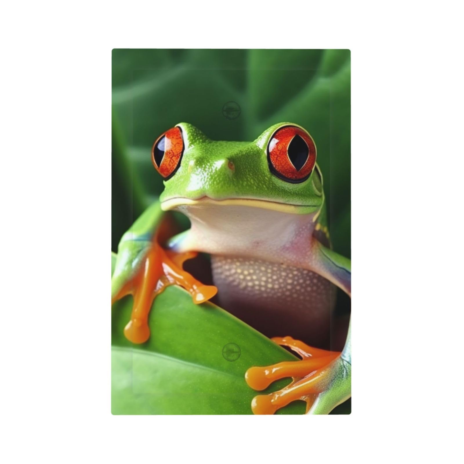 1-Gang Decorator Wall Plate Cute Frog Light Switch Cover Single Gang Receptacle Outlet Wall Plate Mid Size 5" x 3" Wallplate Unbreakable Polycarbonate Outlet Faceplates Covers