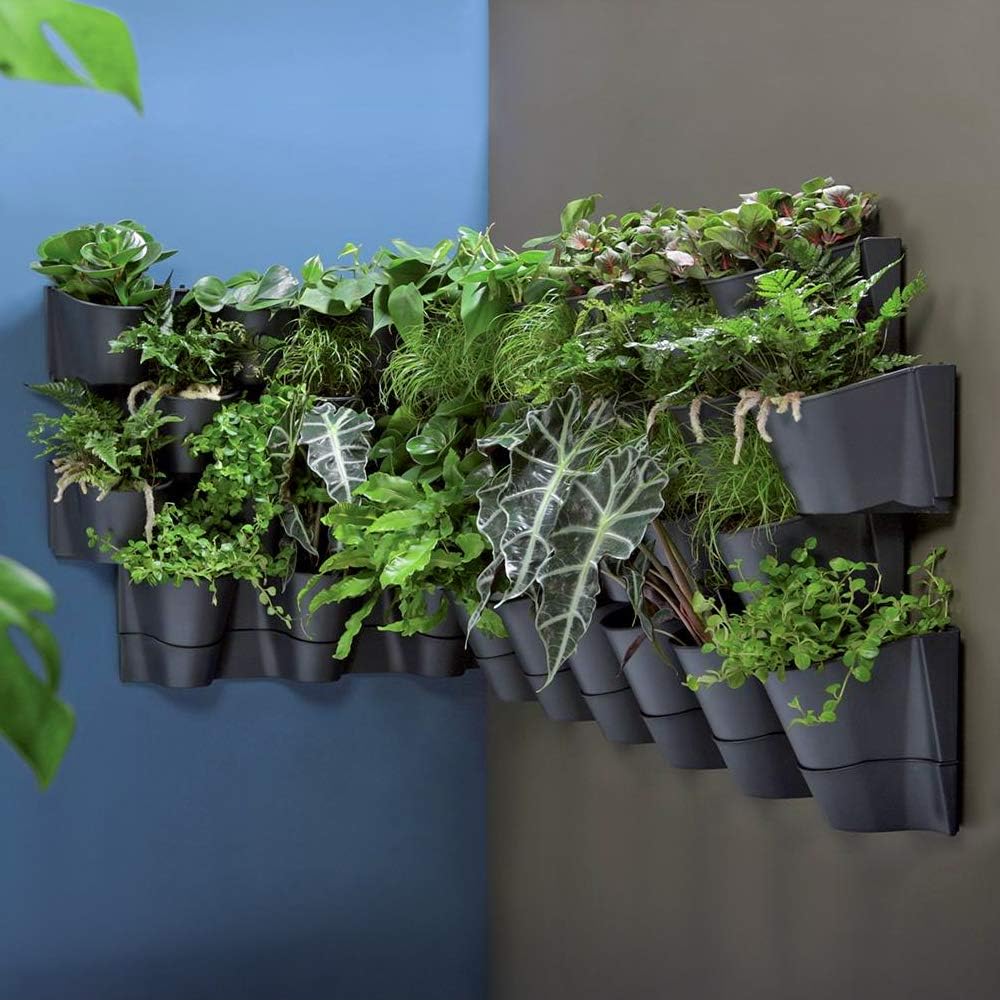 Prosperplast Cascade Wall Plastic Planter in Anthracite Colour 67 (L) x 17.7 (W) x 57 (H) cm, Pequeño