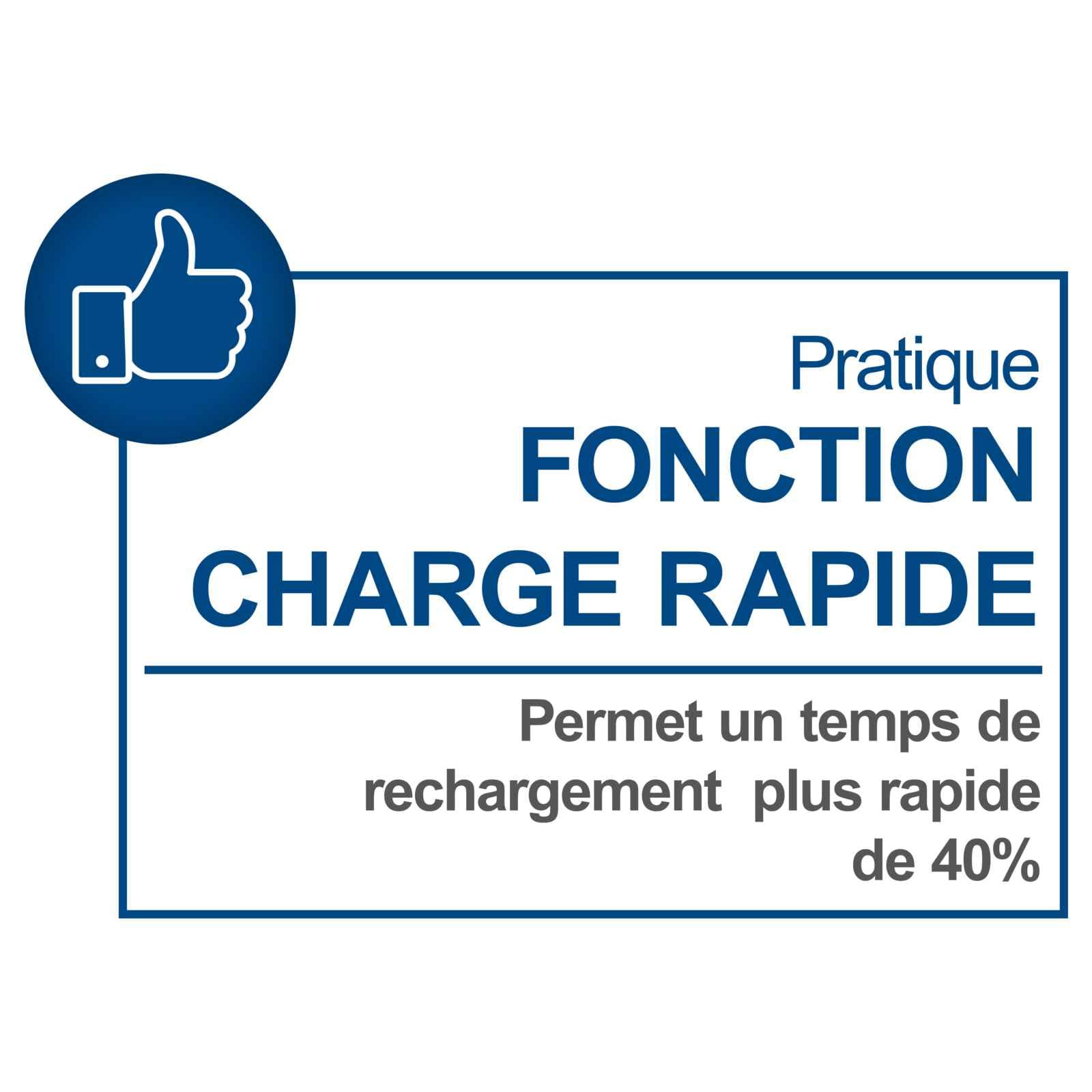 Scheppach Chargeur Double IXES 20V SDBC4.5A - 4,5A - Li-ION - 230-240V/50Hz