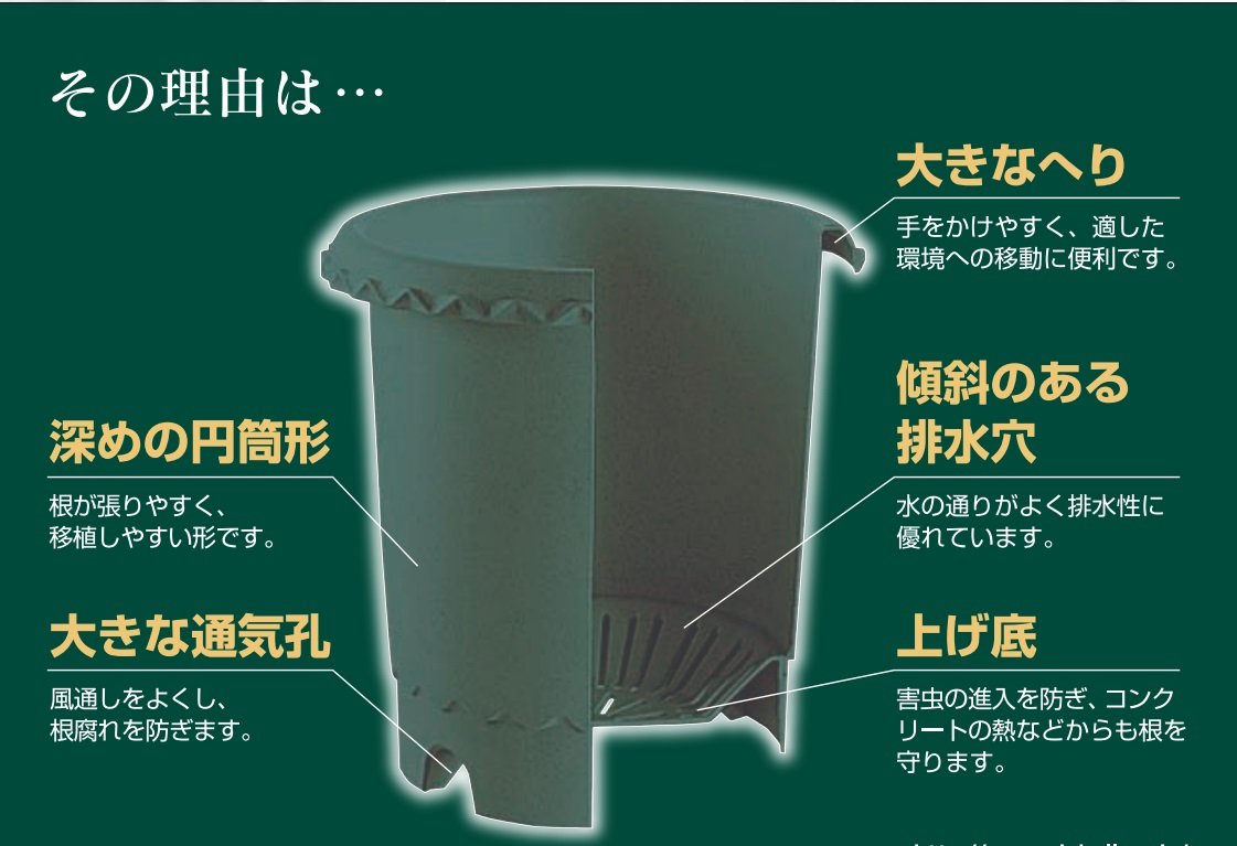 Amazon | リッチェル バラ鉢 12号 ダークグリーン | 鉢