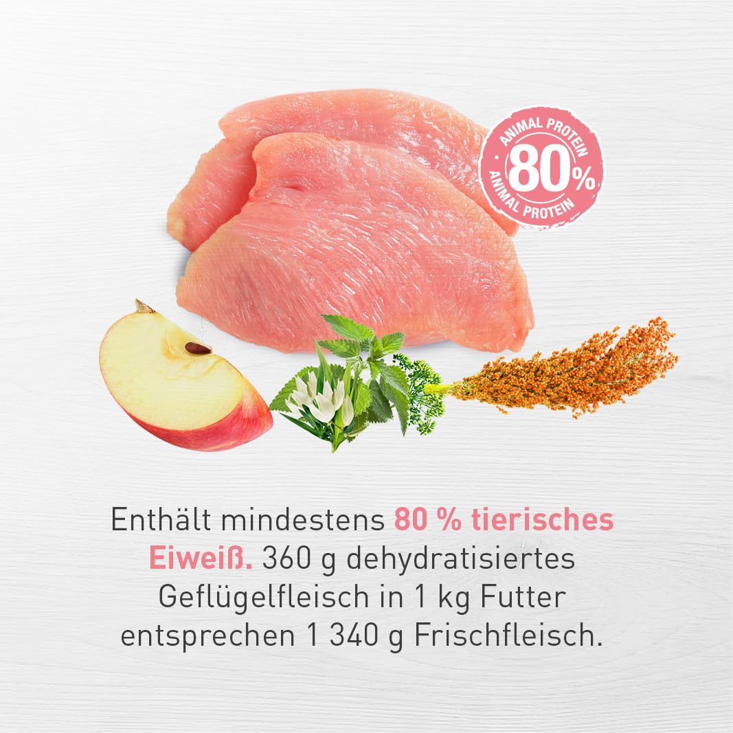 Eminent Puppy Alimento para Perros Gluten |alimento seco para Cachorros, Perras gestantes y Lactantes, Razas pequeñas y Medianas, 15 kg