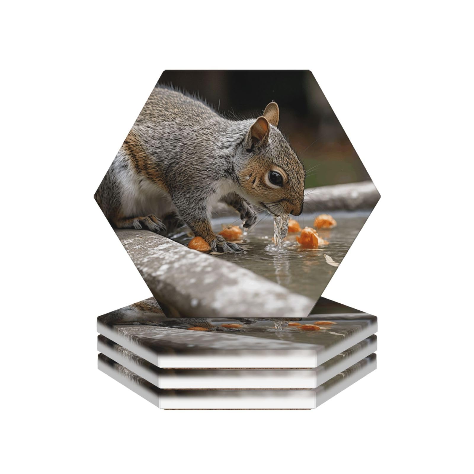 Drink Coasters Set of 4 Coffee Ceramic Coaster Squirrel Drinking Water Coasters for Drinks Coffee Cup Mat Heat Resistant Tabletop Protection Coaster Desk Accessorie Home Decorative