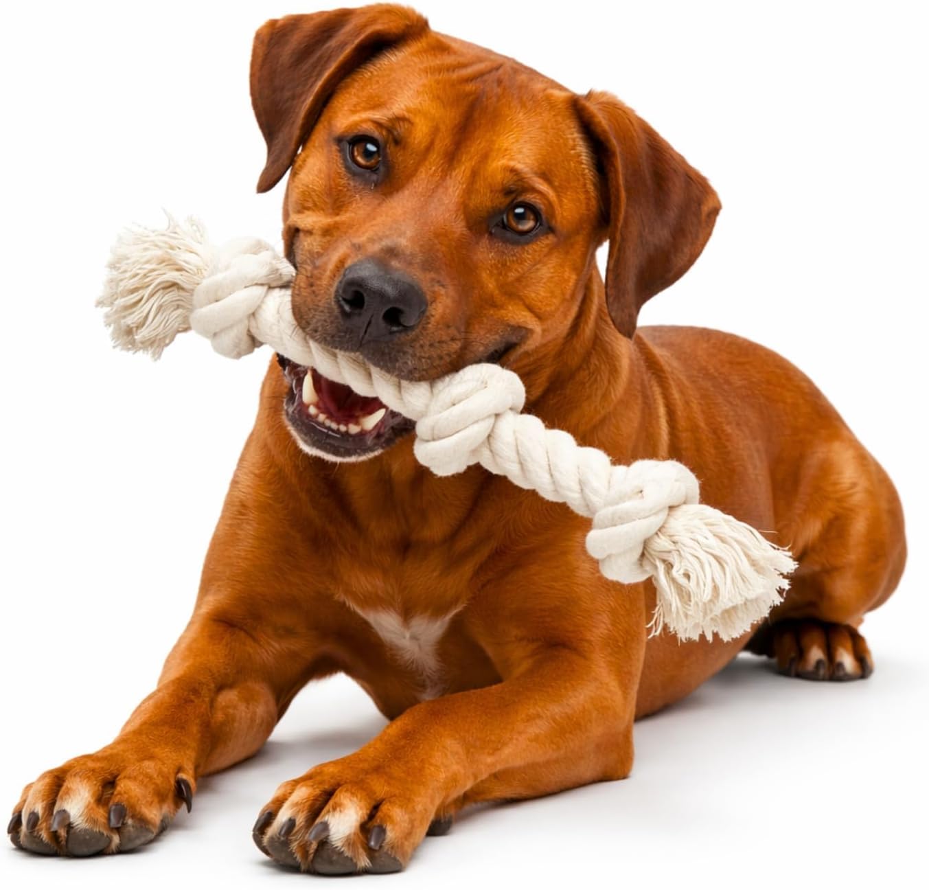 Dog Rope Toys for Large/Medium Aggressive Chewers, Tough Cotton Chew Toy, 39 Inch 5 Knots Indestructible, Tug of War Dog Pull Rope Teeth Cleaning (3 Knots (Pack of 2))