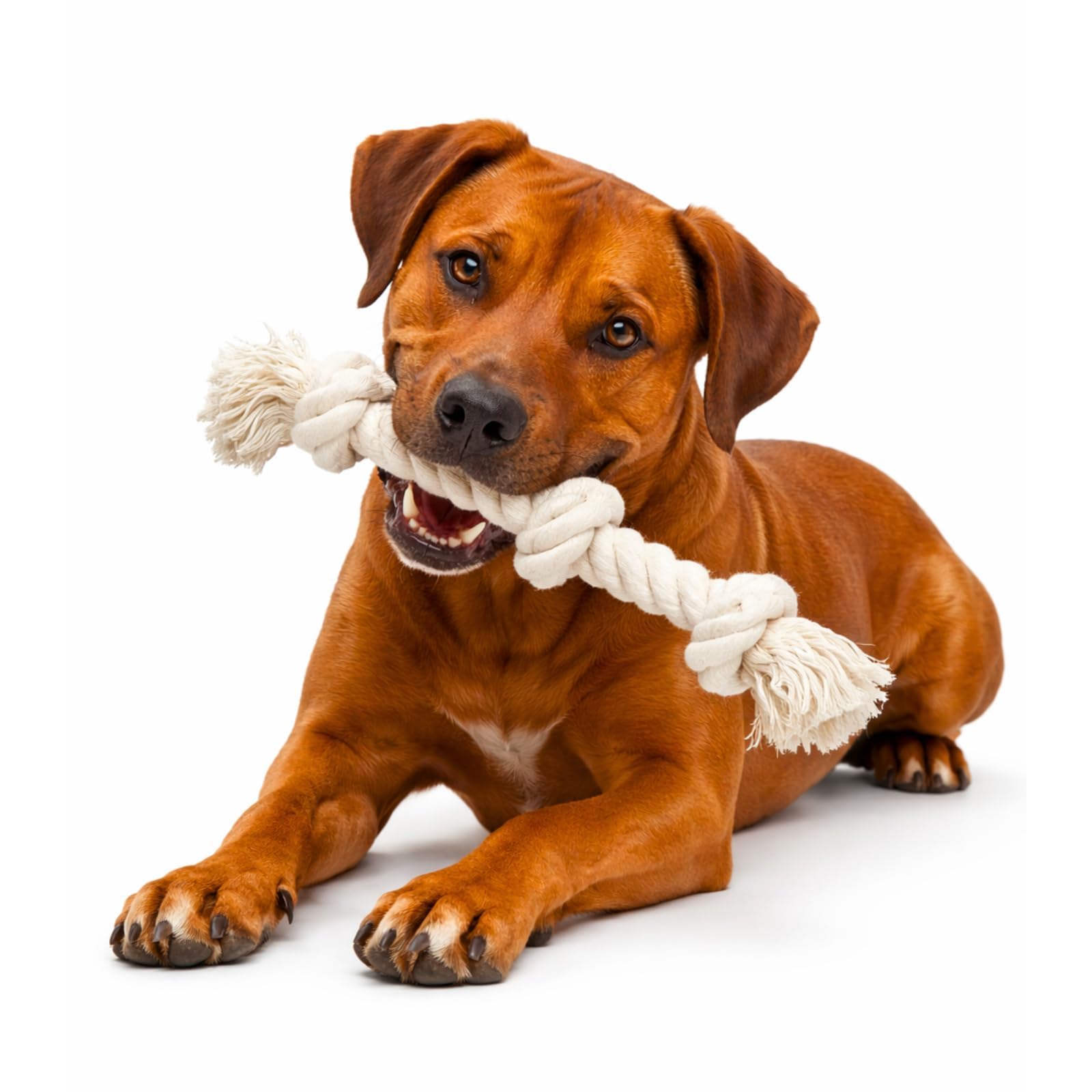Hundespielzeug aus Seil für große/mittelgroße aggressive Kauer, robustes Baumwoll-Kauspielzeug, 99 cm, 5 Knoten, unzerstörbar, Tauziehen, Seil, Zahnreinigung (3 Knoten (2 Stück)