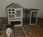 Review Image by Jordan Jordan