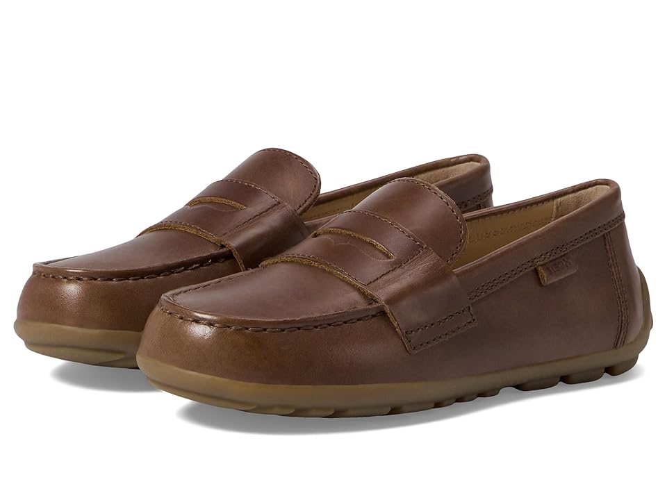 Geox Kids New Fast 6 (Toddler/Little Kid/Big Kid) (Coffee) Boy's Shoes INTERNATIONAL SHIPPING