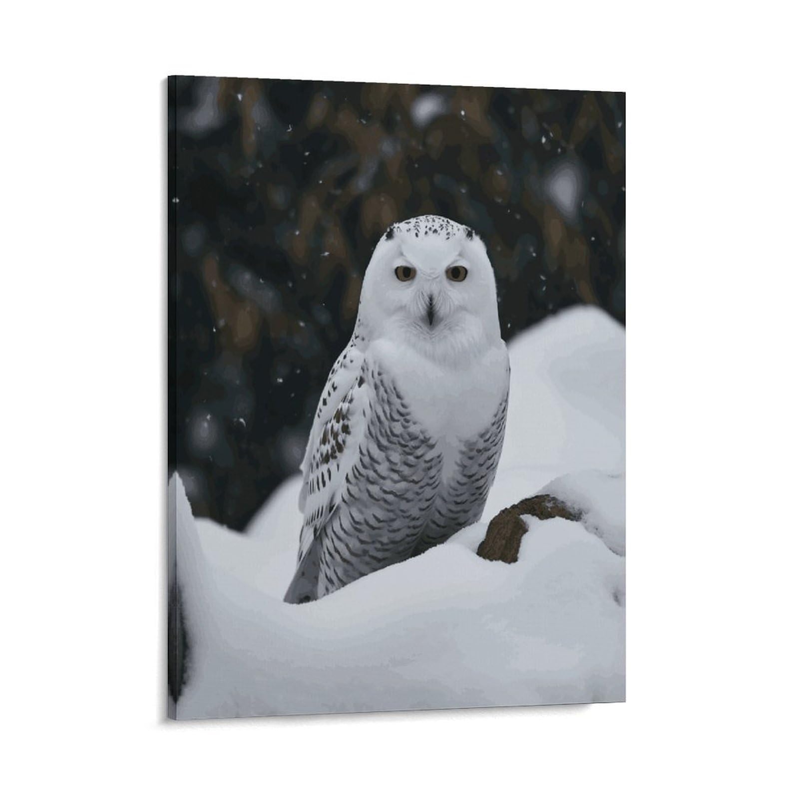 Adfgyerh Style Snow Owl Wall Art Framed,Canvas Prints Ready To Hang Home Decor,Canvas Wall Art For Living Room Hallway Office Wall Decor 08X10inch(20X25cm)