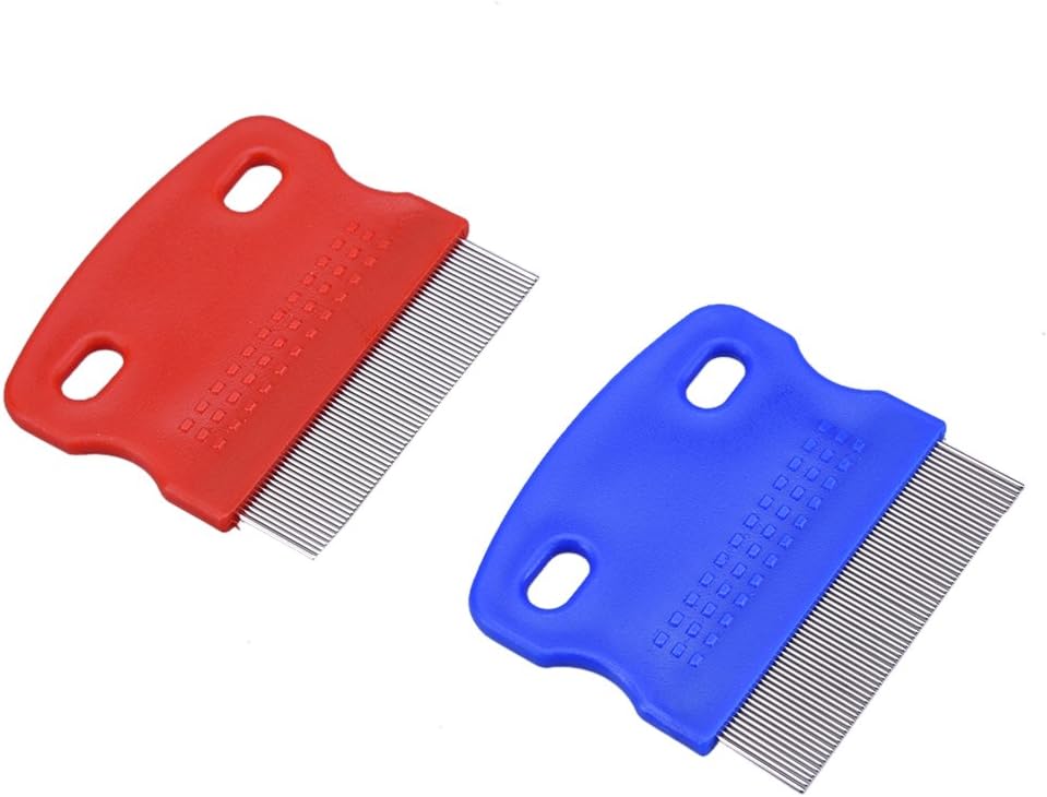 pettine per pidocchi