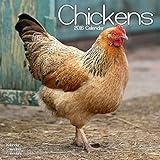 Chickens Calendar - 2016 Wall calendars - Animal Calendar - Monthly Wall Calendar by Avonside