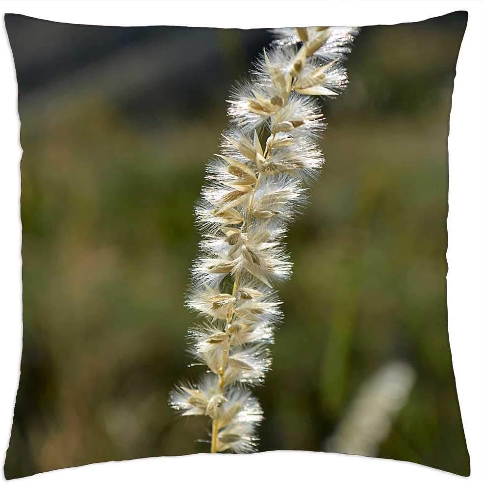 LESGAULEST Throw Pillow Cover (16x16 inch) - Nature Outdoor Plant Flower Current Season Grass