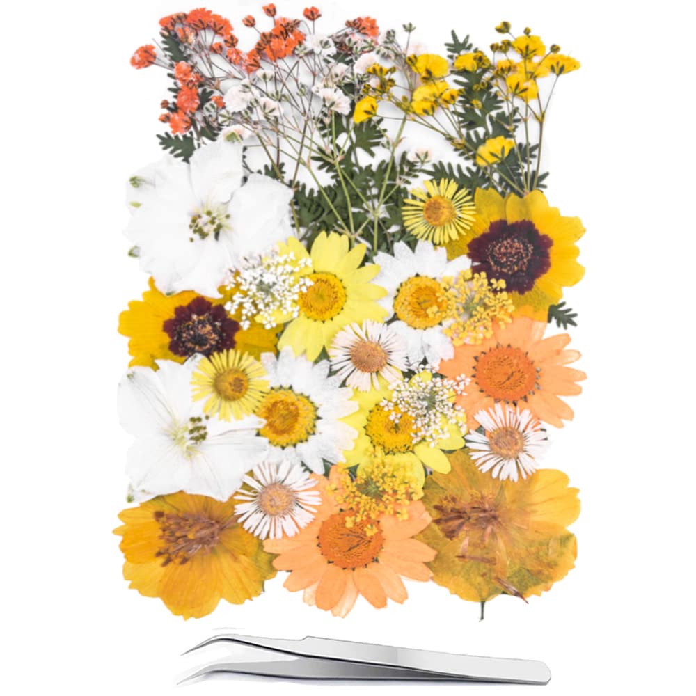 Fiori Secchi Naturali Per Resina E Decorazioni - Set Fai Da Te Con Scatola Fiori Per Resina