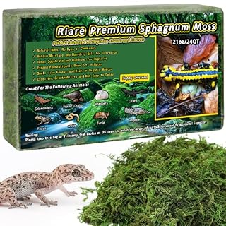 Riare mousse de sphaigne naturelle 600 g pour terrarium humide