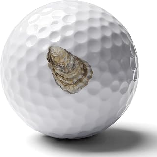 Watercolor Oyster Shell Golf Balls Rubber Soft Practice Tournament Ball Distance Straighter Personalized Graphics