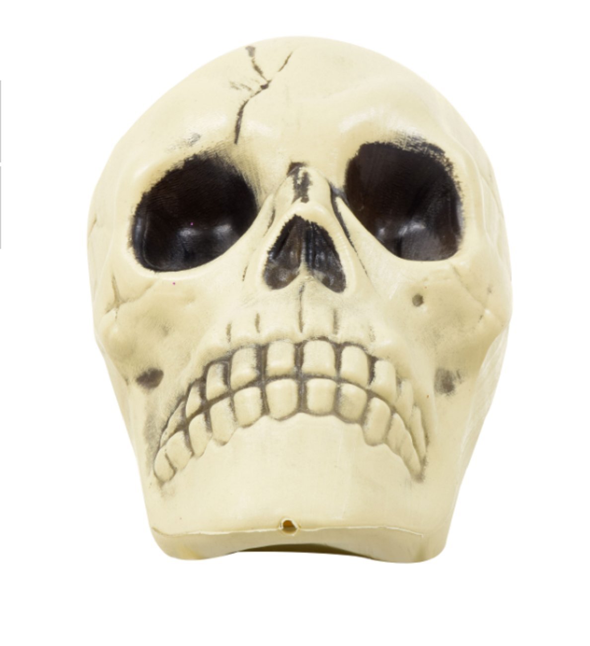GreenbrierInternational Plastic Skull