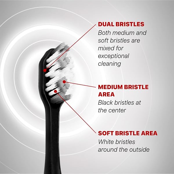 Reach Dual Sonic Electric Toothbrush, 1 Handle, 4 Brush Heads, 2 Brushing Modes, Strong and Gentle Portable Adult Travel Toothbrush, 27000VPM with AAA, Up to 150 Hours - 4