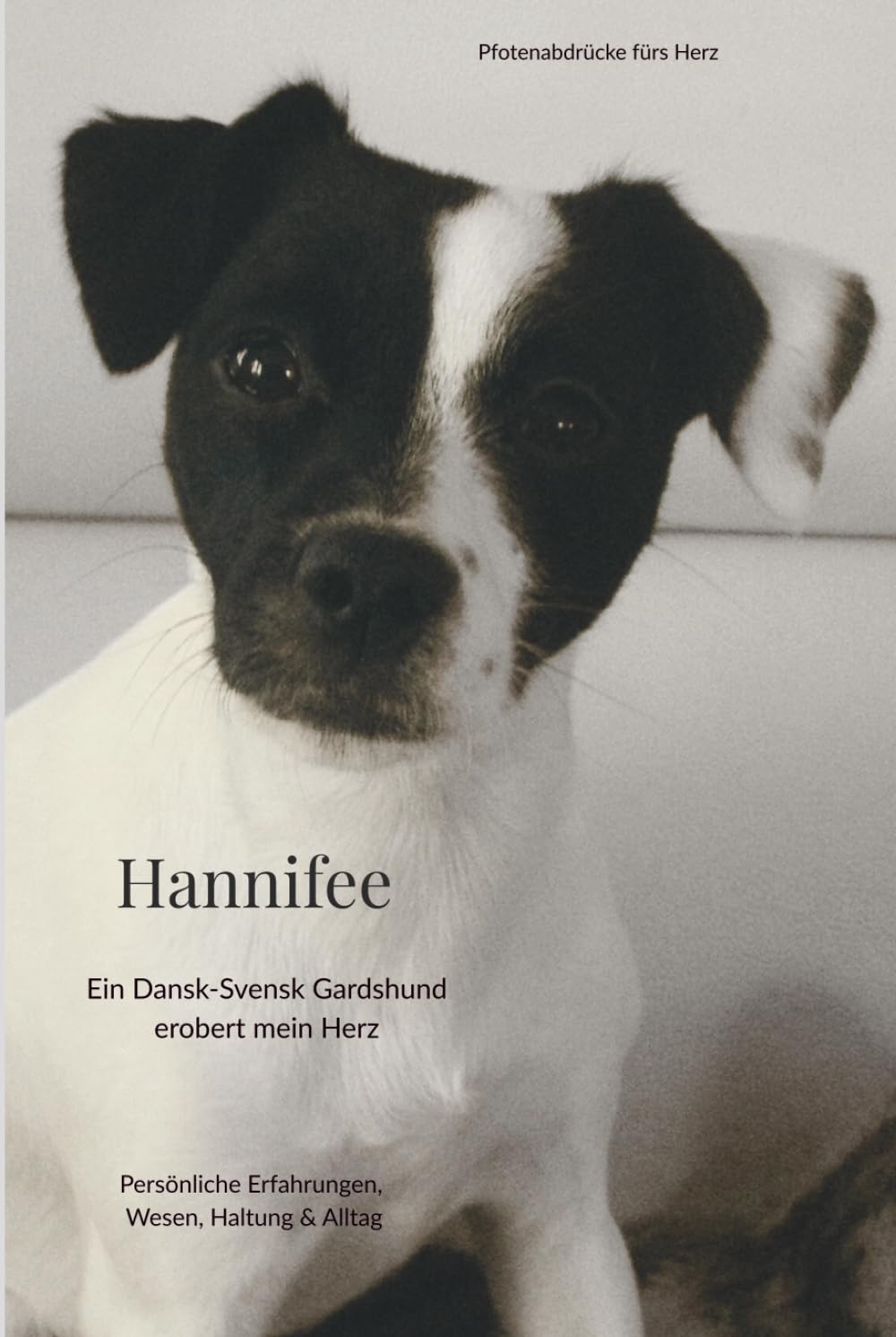 Hannifee: Ein Dansk-Svensk Gardshund erobert mein Herz (Pfotenabdrücke fürs Herz)