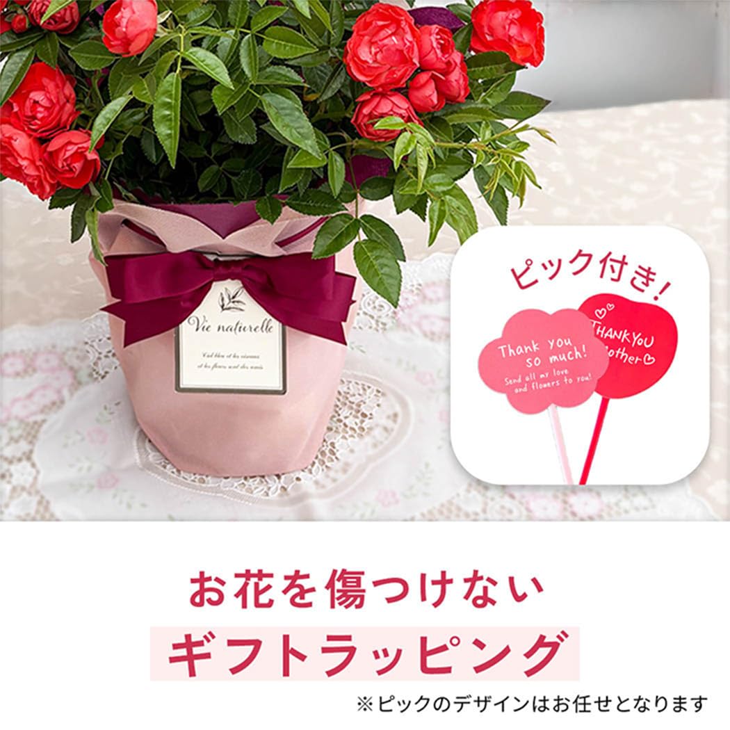 Amazon.co.jp: 【ありがとうを伝える】 母の日 花 バラ オレンジ