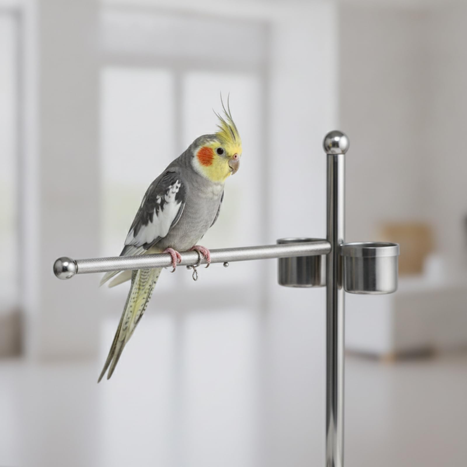 Percha Acero Inoxidable con Comeros Resistente Versátil para Aves Jóvenes, Soporte De Pie De Pájaro De Acero Inoxidable Tipo 7 con Bandeja Redonda - Grande