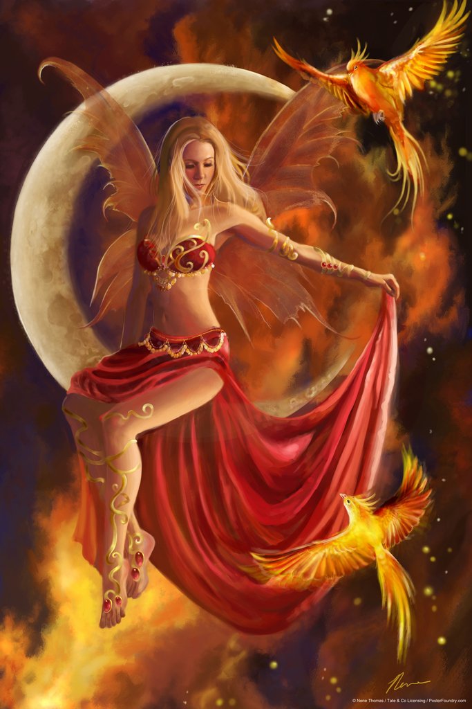Amazon.com: Fire Moon Fairy With Phoenix Bird by Nene Thomas