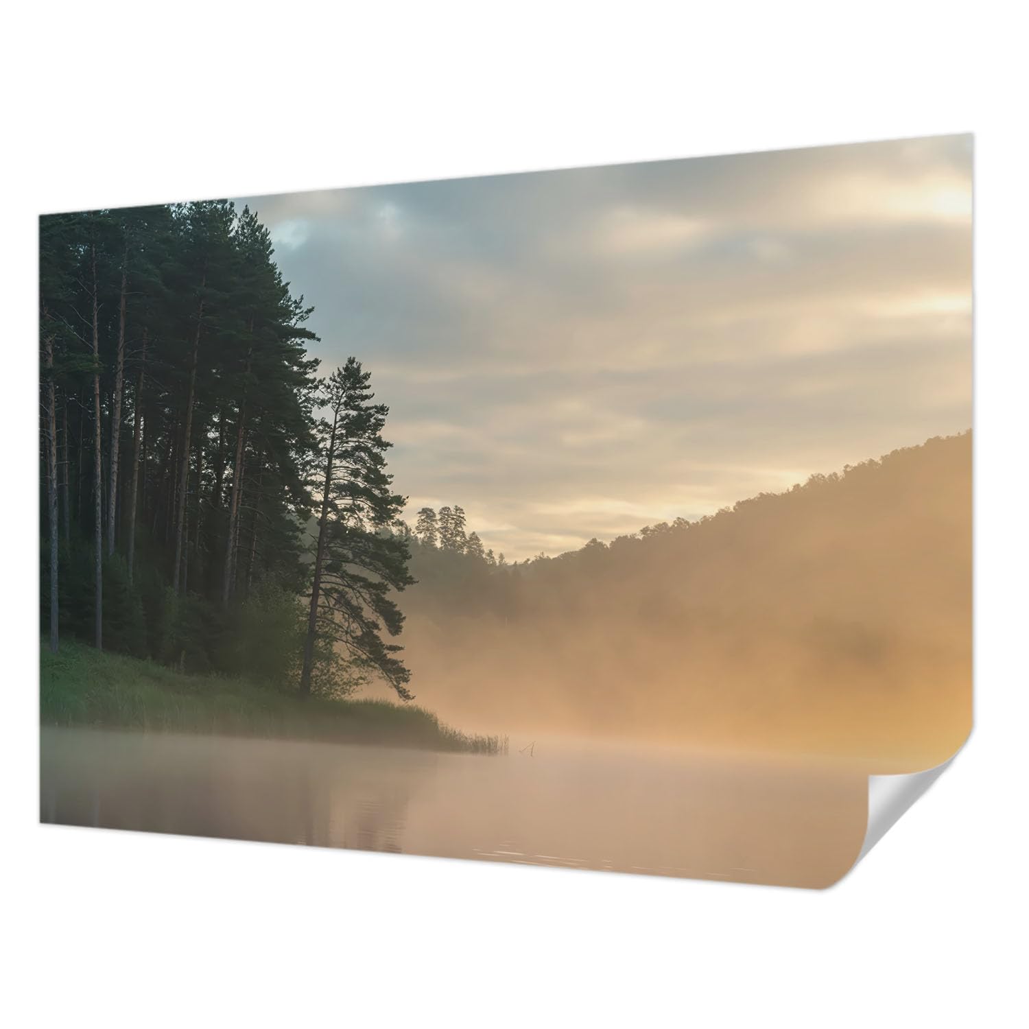Papier peint panoramique 312x219 cm motif matin brumeux pour grand mur de salon et chambre