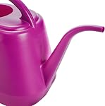 Fasmov Canette d'arrosage en plastique, Rose Rouge, 1-Gallon
