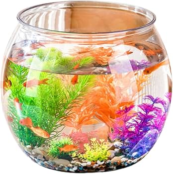 Amazon | ateena 金魚鉢 金魚 水槽 メダカ 鉢 容器 飼育