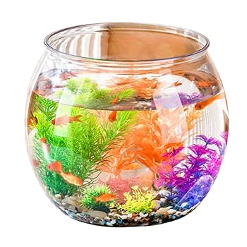 Amazon | ateena 金魚鉢 金魚 水槽 メダカ 鉢 容器 飼育