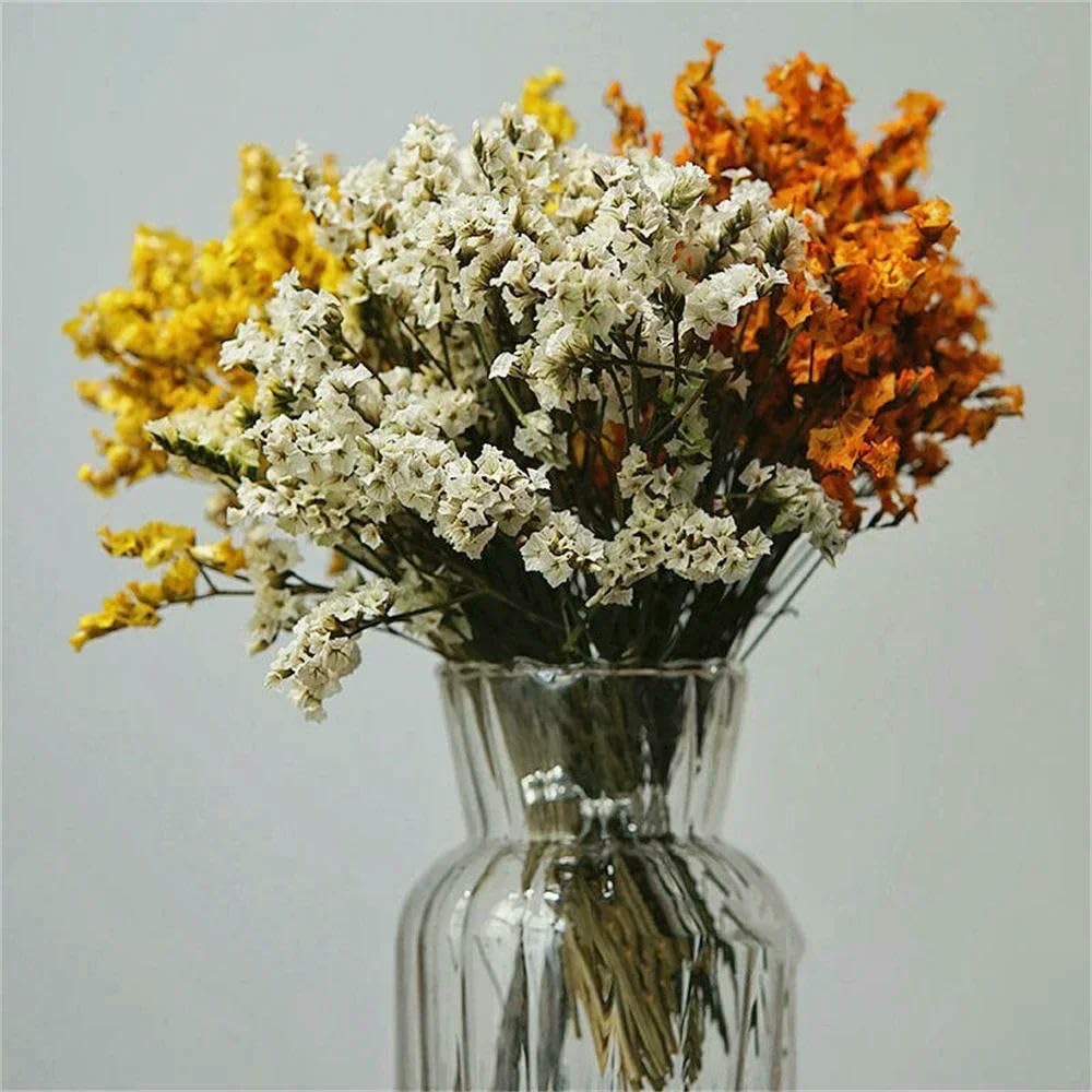 40-50 cm Herbe Cristal Naturelle séchée, véritable Fleur « Amour éternel » pour Les compositions de Mariage