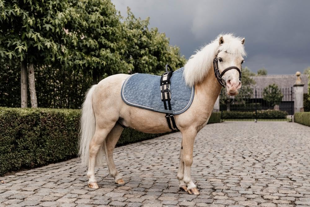 Tapis de selle PONY - Bleu clair - Velours - Saut d'obstacles