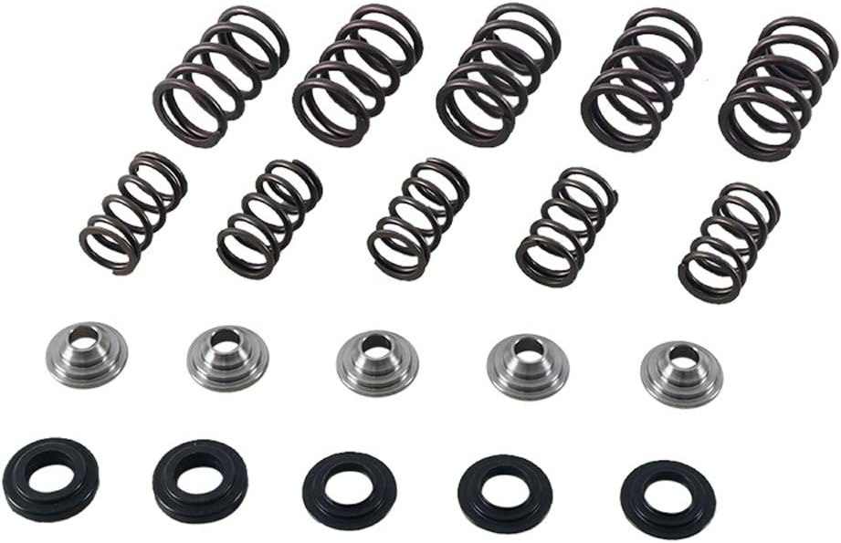 Hot Cams SKYFM660S2 Gold Series High Performance Valve Spring Kit, Regular