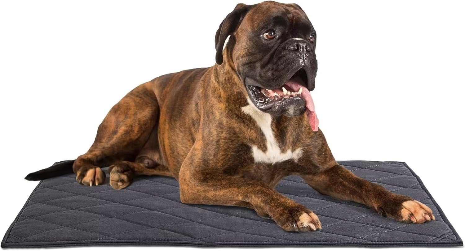 Grenty Chew Proof Dog Crate Pad - Indestructible Waterproof Mat For Medium Dog Cages & Crates (35x22 Inches)