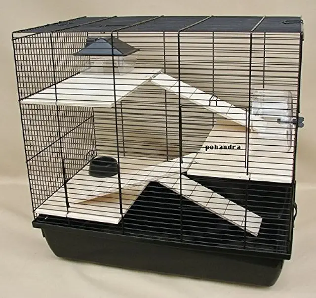 Interzoo REX 3 Degu-Käfig mit Holzausstattung, 3 Etagen & Zubehör