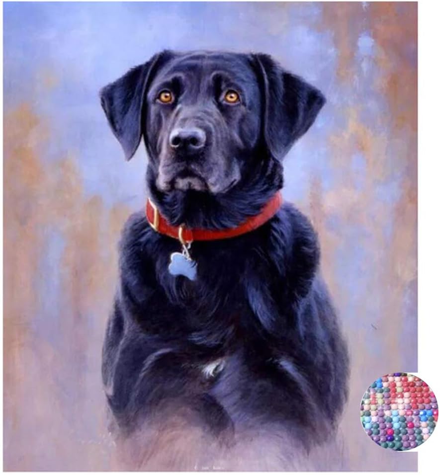 LIPHISFUN DIY 5D Diamond Painting by Number Kit for Adult, Full Round Resin Beads Drill Diamond Embroidery Dotz Kit Home Wall Decor,30x40cm,Black Labrador Retriever