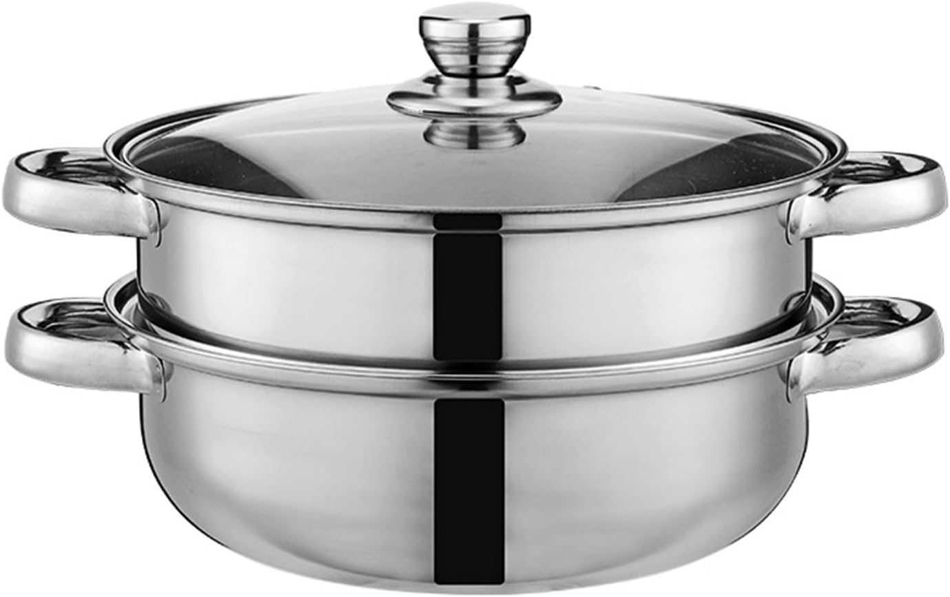 AIZYR Steamer for Cooking Steamer Pot Stainless Steel Stockpot with Lid, Multipurpose Cookware for Stews, Pasta, Dumpling, Sauce,2 Tier