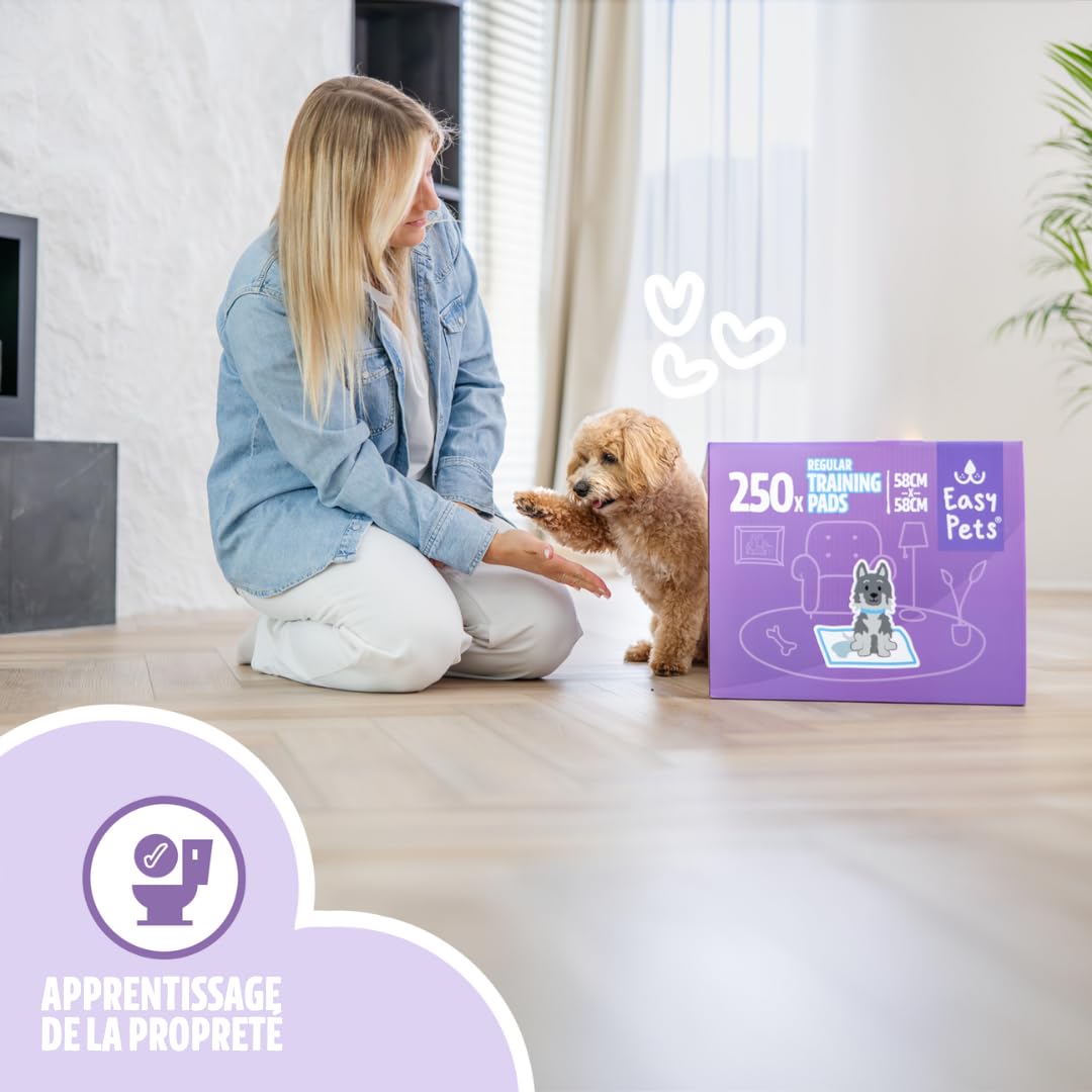Lot de 250 Tapis Éducateurs pour Chien Chiot , Tapis Hygiénique , Absorbant Inférieure Imperméable, Anti-Fuite 58 x 58 cm