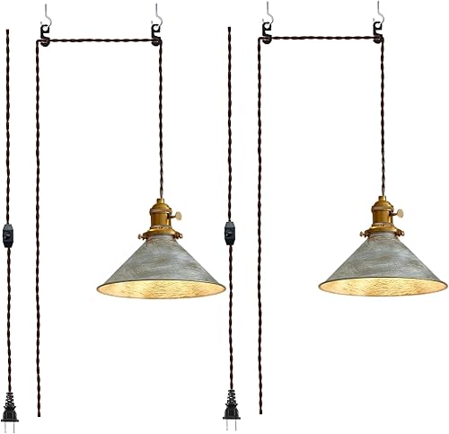 Miniatura 14 de Luces colgantes con cable de enchufe, lámpara colgante industrial de jaula de plata antigua con bombillas Edison, lámpara colgante con acabado de