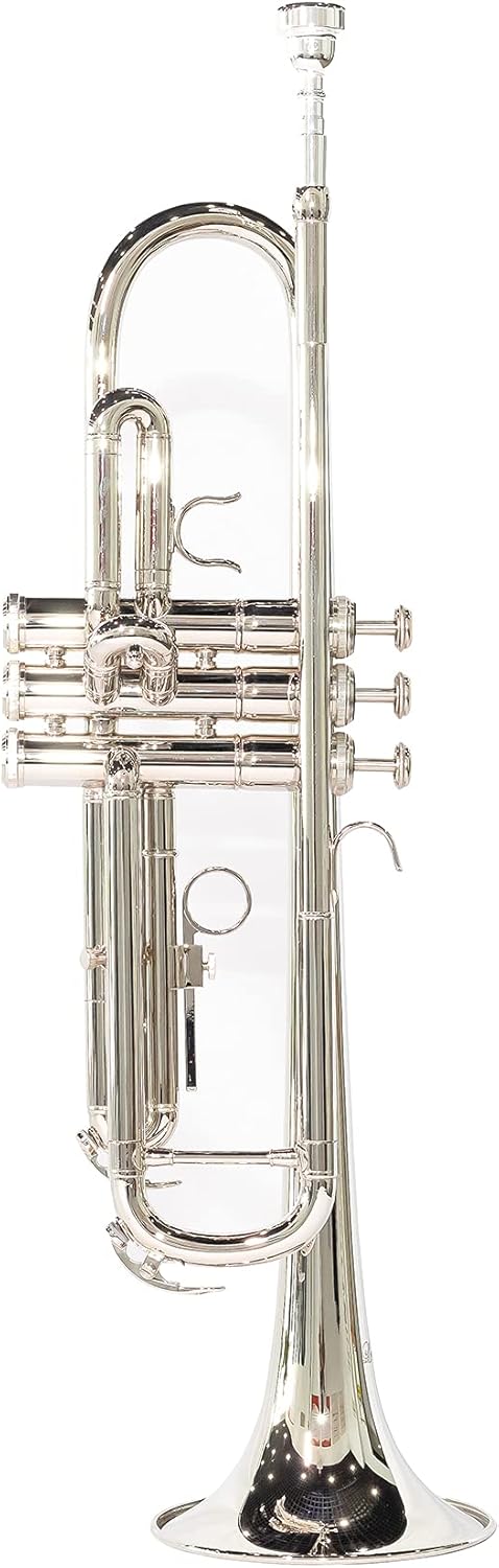 LeSage Brass Standard Bb Nickel Silver Trumpet for Beginner Student for Band with 7c Mouthpiece Cleaning Kit Valve Oil Trumpet Case