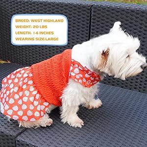 KYEESE Dog Dress Strawberry Dog Halter Skirt for Small Dogs Doggie Sundress Dog Apparel KYEESE Dog Dress Strawberry Dog Halter Skirt for Small Dogs Doggie Sundress Dog Apparel