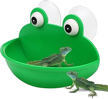 Amazon | カエル皿ホルダー、カエルの生息地, かわいいカエルの装飾 Amazon | カエル皿ホルダー、カエルの生息地, かわいいカエルの装飾