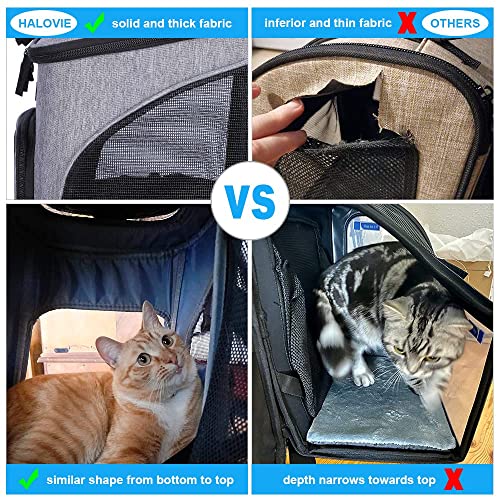 HALOVIE Pet Carrier Backpack Expandable for Cats Dogs Under 18 LB, Breathable Mesh Cat Backpack Carrier Bag, Foldable… - Image 4