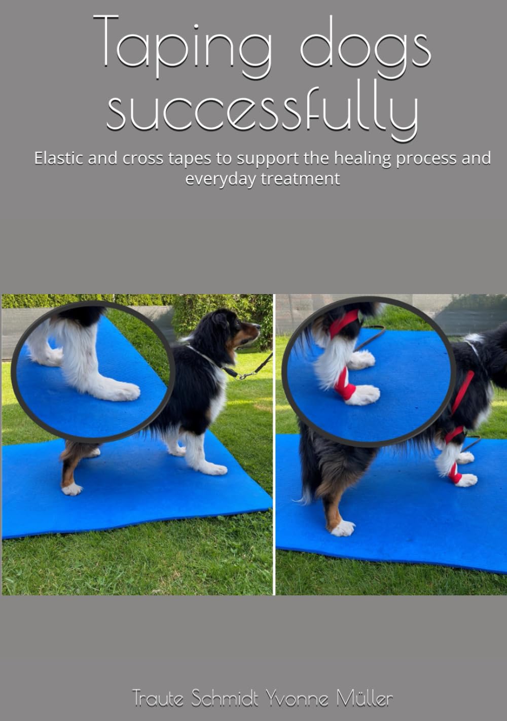 Taping dogs successfully: Elastic and cross tapes to support the healing process and everyday treatment
