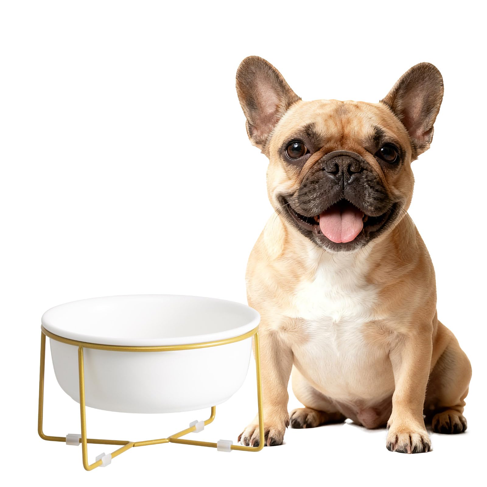 Elevated Ceramic Dog Bowl with Metal Stand - Raised Feeding Dish for Small and Medium Dogs - Ideal for Food or Water - Each Holds 600ml / 3.2 Cups (Approx. 320g) - White