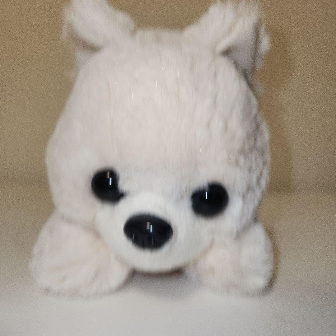 Amazon.co.jp: 俊介くん ポメラニアン ぬいぐるみ 犬 寝そべり : おもちゃ