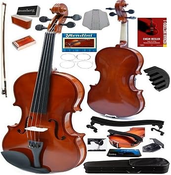 Stromberg VIOLIN - SHINY PILLOW + GUIDE + SILENCER GIFT 4/4 - ADULT VIOLIN
