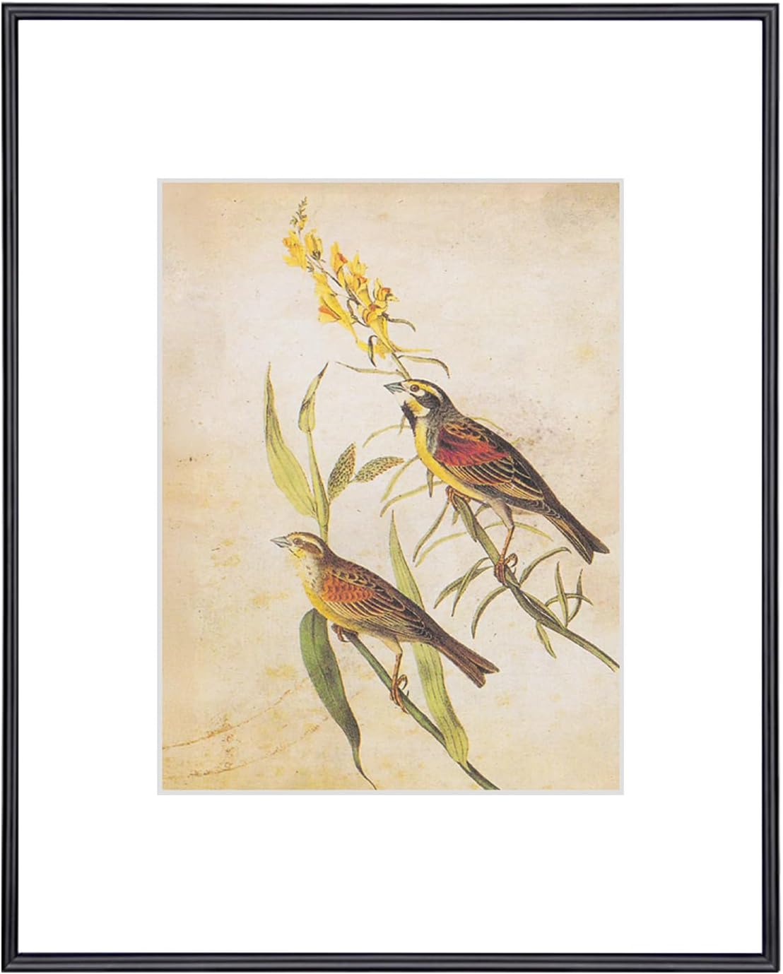 8x10 Picture Frame, Matte Black Modern Thin Aluminum Metal Photo Frame with HD Glass, Fits 5x7 with Mat or 8 x 10 without Mat, for Tabletop and Wall Mounting, 1 Pack