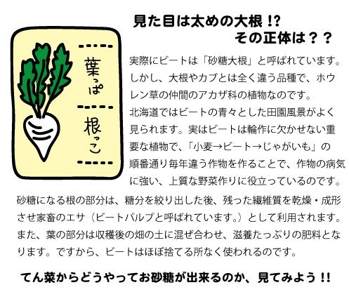 ほくべい スズラン印 グラニュー糖 20kg