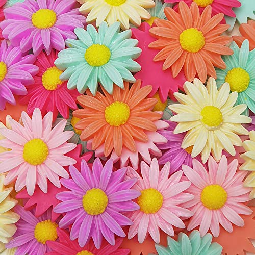 Chenkou Craft Random 100pcs Mix Color Lovely Daisy Flower Flatback Resin Charms Hair Clip Hairpin DIY Craft Jewelry Phone Decoration (Mix, 27mm(1 1/16")) -  Yiwu Shi Juqian Trading Co.,Ltd, B0655
